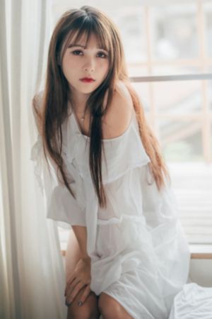京东快递单号查询