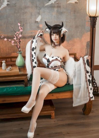 笨厨二美
