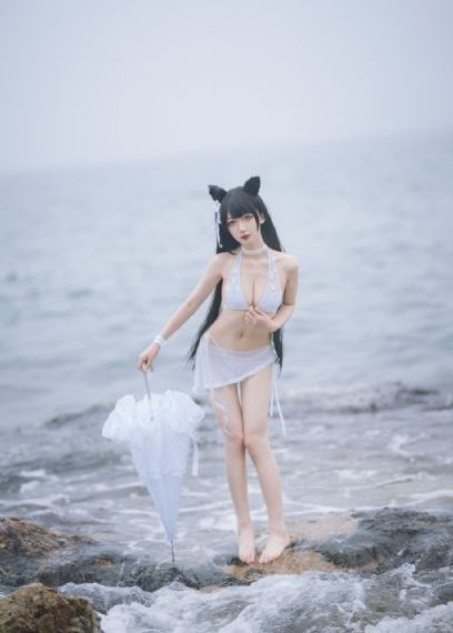 兰桐花开