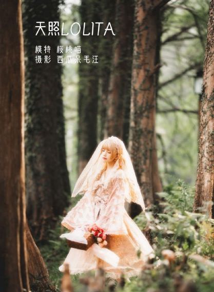 藏海花1-40集全免费
