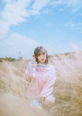金瓶双梅