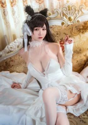 机智的上半场